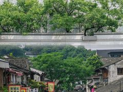 -绍兴鲁迅故里·沈园景区