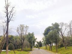 -白鹭湾湿地公园