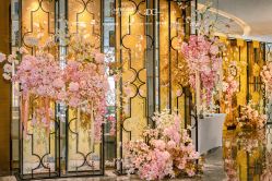 -DC大蔡婚礼策划(李公堤店)