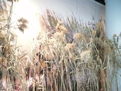 -上海长江河口科技馆