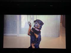 -UME影城(西城广场店)