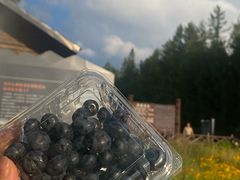 -峡谷浮石林景区