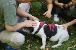 -圣露庄园·草坪婚礼·宴会厅·会议