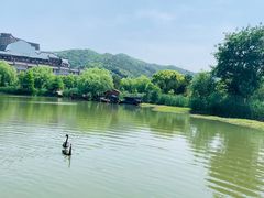 -长兴太湖图影湿地文化园