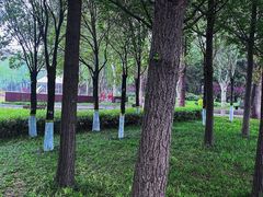 -郑州植物园