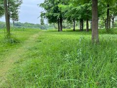 -眉山湿地公园(东坡区)