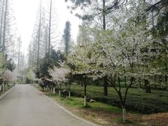 景点-宝岩生态观光园