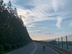-浏河古镇