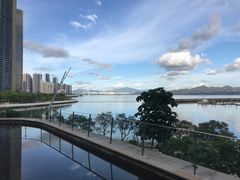 -希尔顿南海酒店·观廊大堂吧·海景下午茶