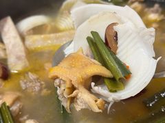 -15年老字号鑫鑫猪肚鸡·椰子鸡海南火锅(兴隆华侨农场店)