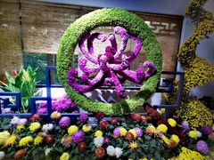 -杭州植物园