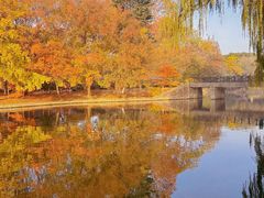 -上海共青森林公园