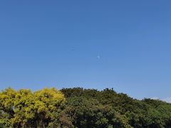-大湾区中央湿地公园
