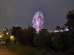 -台场海滨公园船码头