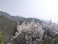 -居庸关长城
