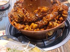 -刘记光大火锅鸡(北行店)