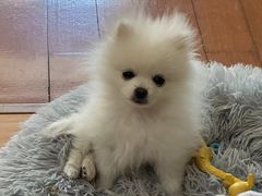 -小老板海鲜酒家(董家渡店)