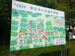 -黄海国家森林公园