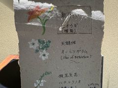 -帝京日语(春熙路旗舰校区)