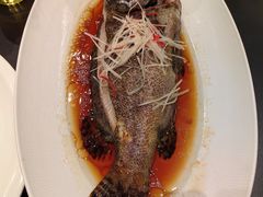 -红高粱大酒店(宁山东路店)
