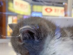 -好世界商业广场(北京国际中心店)