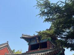 -洛阳白马寺
