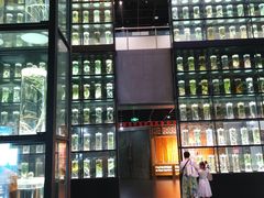 -广东中医药博物馆