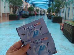 -芜湖新华联大白鲸海洋公园
