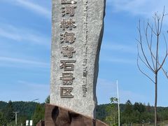 -汤旺河林海奇石景区