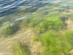 -丁香湖公园