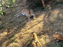 -昆明动物园