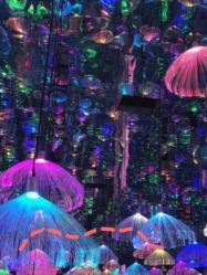 -萌兔星空蹦床撸兔馆