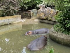 -宁波野生动物园