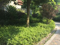 -和悦庄乡村温泉酒店