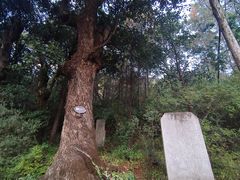 -黑龙潭公园