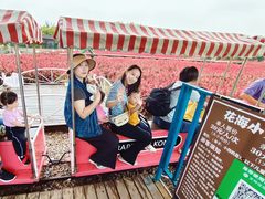 -广东花都香草世界旅游度假区