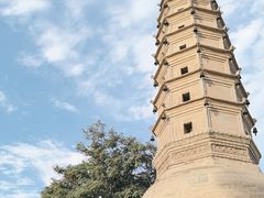 -白塔山公园