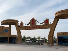 -金塔沙漠胡杨林景区