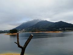 -广州市流溪河国家森林公园
