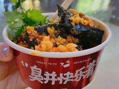 黑色经典臭豆腐-黑色经典臭豆腐·湖南特产(坡子街店)