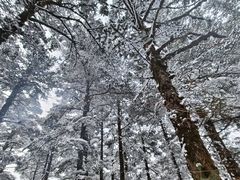 -峨眉山风景名胜区