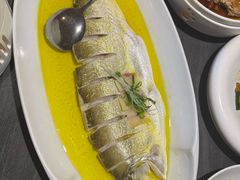 大湖白鱼-湖里春风·淮扬菜(丽泽天街店)