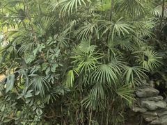 -石家庄市植物园