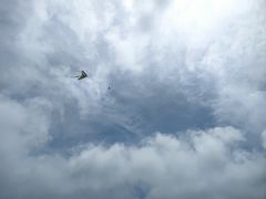 -春花秋色城市公园