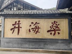 -燊海井
