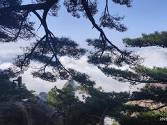 -黄山风景区