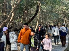 -紫金山山顶公园
