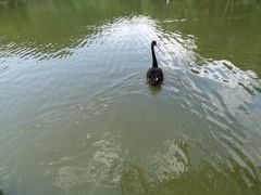 -呀诺达热带雨林