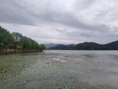 -鸣鹤古镇