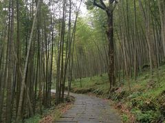 -广州市石门国家森林公园